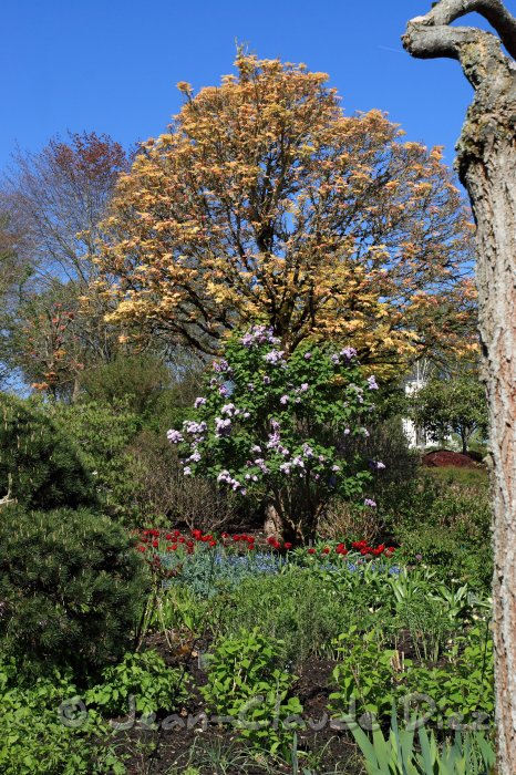 Apremont05.JPG - Le Parc Floral d'Apremont-sur Allier