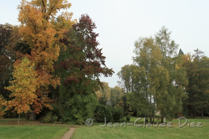 FontainebleauJA13.JPG - Au jardin anglais du château de Fontainebleau