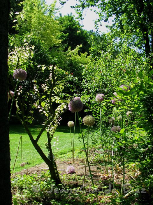 Valloires69.jpg - Le jardin de l'abbaye de Valloires